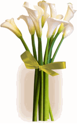 Simply Calla Lilies bouquet