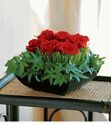 Simply Roses