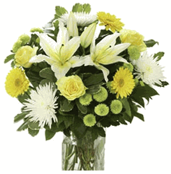 Simply Stylish Hand Tied (yellow). 