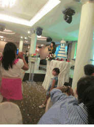 Singer at Wedding Party