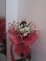 Single rose