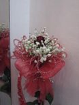 Single rose
