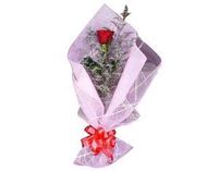 Single rose Arrangement