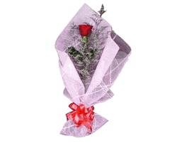 Single rose Arrangement