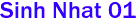 Sinh Nhat 01