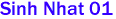 Sinh Nhat 01