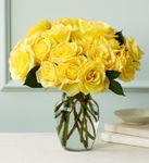 Skyline Roses