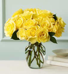 Skyline Roses