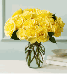 Skyline Roses
