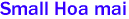 Small Hoa mai