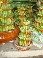 Small size layer bamboo 2pots