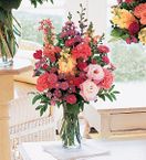 Small Sunshine and Smiles