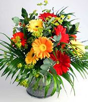 Smile Of Gerbera