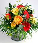 Smile Of Gerbera