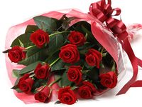 Special Rose 