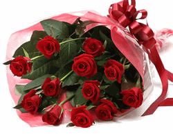 Special Rose 