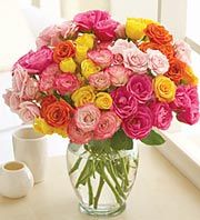 Spray Roses,