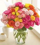 Spray Roses,