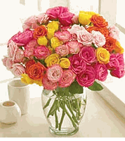 Spray Roses,