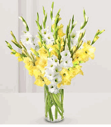 Spring Bouquet