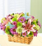 Spring Inspiration 