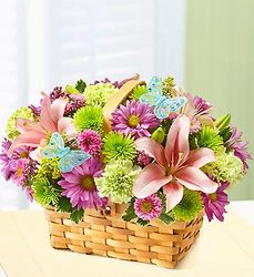 Spring Inspiration 