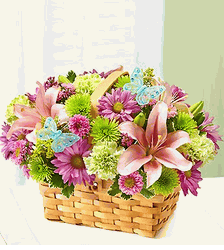 Spring Inspiration 