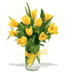 Spring Tulips - Yellow 