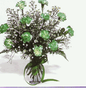 St. Patrick`s Day 