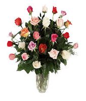 Statement Of Color rose 24 mixed rose
