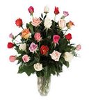 Statement Of Color rose 24 mixed rose