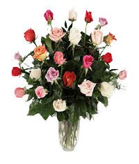 Statement Of Color rose 24 mixed rose