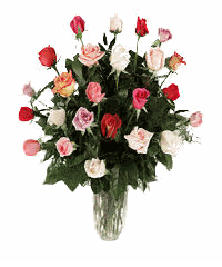 Statement Of Color rose 24 mixed rose