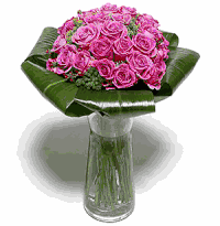 Stunning Pink Roses