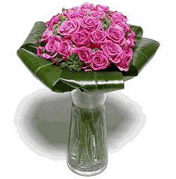 Stunning Pink Roses