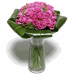 Stunning Pink Roses