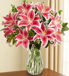 Stunning Stargazer Lilies 