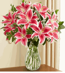 Stunning Stargazer Lilies 