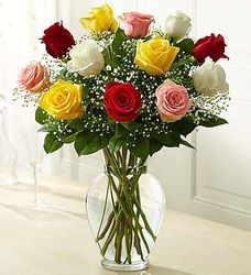 Summer Flowers