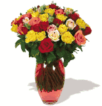 Summer Morning Sunshine