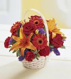 Sun Basket 