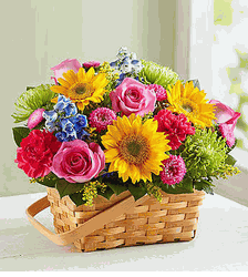 Sunny Garden Basket