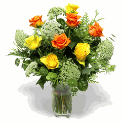 Sunny Rose