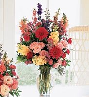 Sunshine and Smiles-Deluxe 