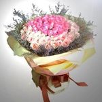 Sweet Enchantment rose