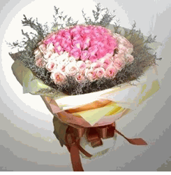 Sweet Enchantment 99 roses pink