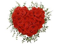Sweet Heart Rose 
