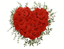 Sweet Heart Rose 