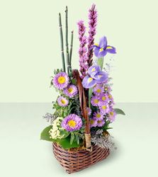 Sweet Peace Basket