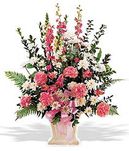 Sweet Sentiments